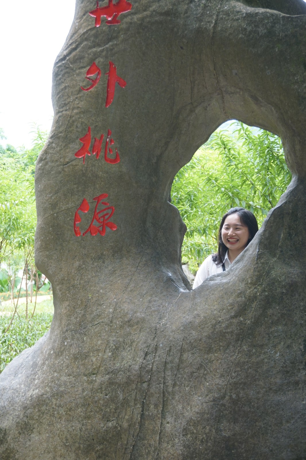 mmexport1564927366203_wps图片.jpg